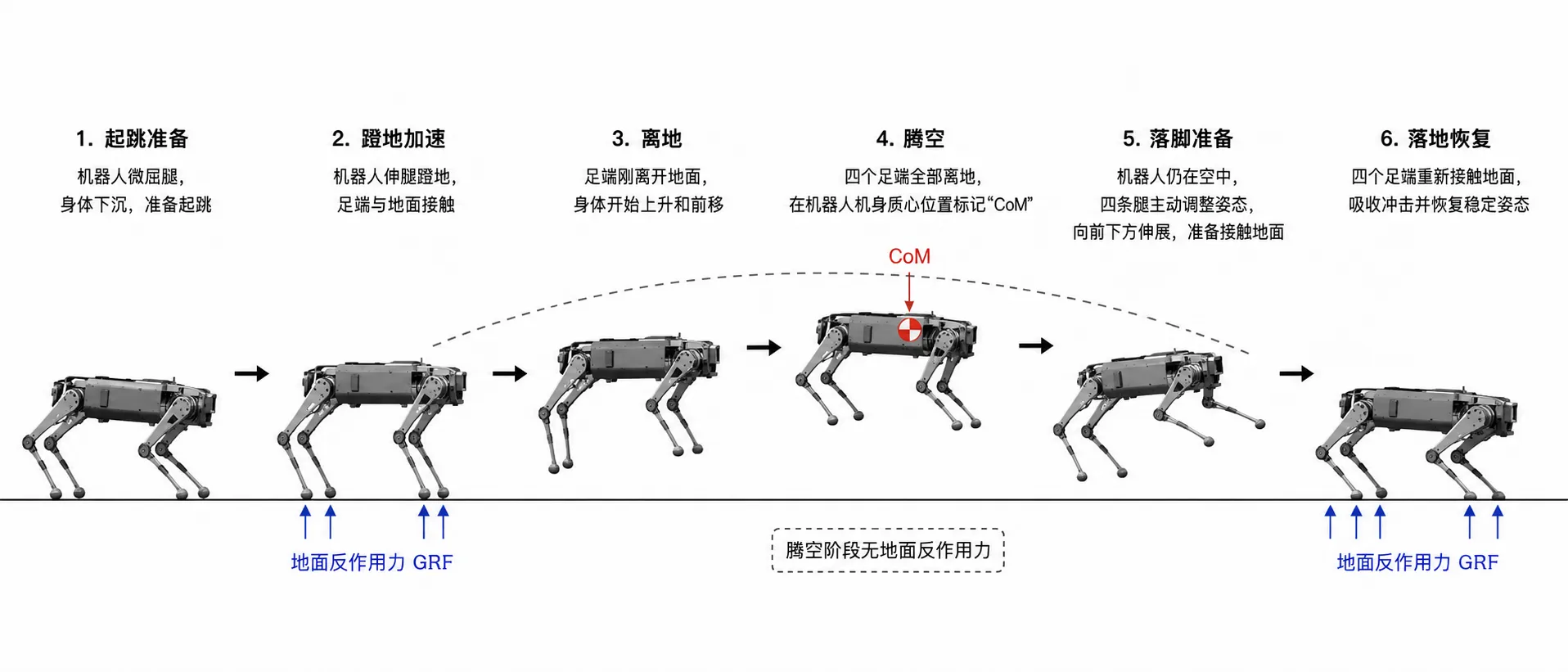 四足机器人跳跃过程中的接触阶段