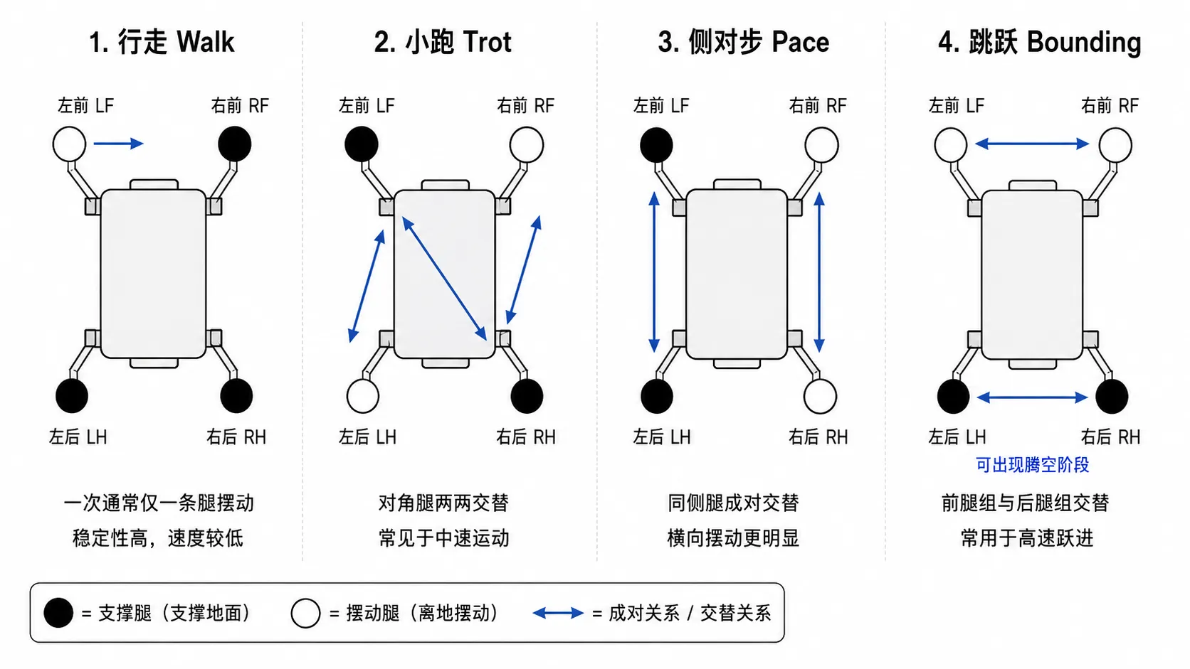 四足机器人的典型步态